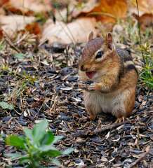 99: MarkShelly_2025-231