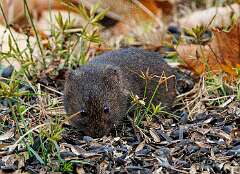 35: MarkShelly_2025-232