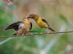 64: MarkShelly_2025-233