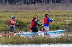 137: MarkShelly_2025-235