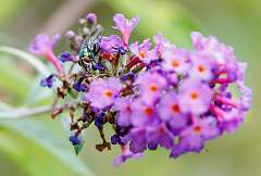 10: MarkShelly_2025-237