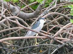 108: MikeGlass_2025-30