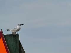 77: MikeGlass_2025-31