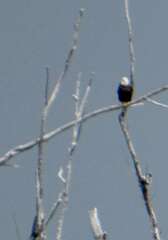 48: MikeGlass_2025-32