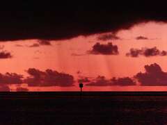 61: MikeGlass_2025-37