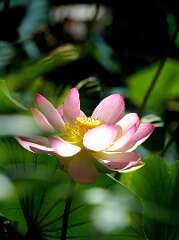 89: wendyTao_2025-28