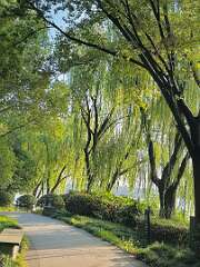 98: wendyTao_2025-35