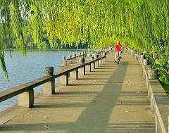 88: wendyTao_2025-36