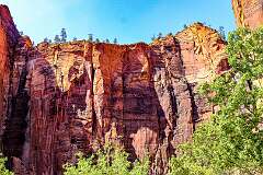 187: AlanToplitz_2025-114