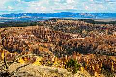 135: AlanToplitz_2025-115