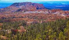 171: AlanToplitz_2025-118