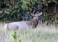 141: AlanToplitz_2025-123