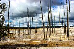 198: AlanToplitz_2025-126