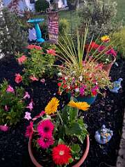 30: BerniceBailine_2025-37