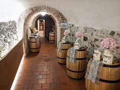 65: BillKirms_2025-285