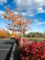 194: BillKirms_2025-311