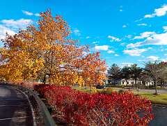 226: BillKirms_2025-313