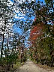 213: CarolAnnManfria_2025-35