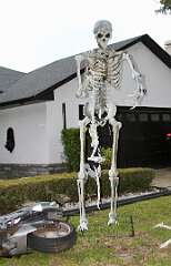 23: DonManfria_2025-262