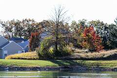 129: DonManfria_2025-280