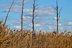 174: DonManfria_2025-282