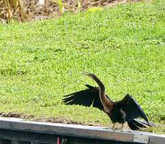 85: MikeGlass_2025-42