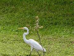 152: MikeGlass_2025-43