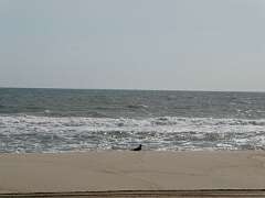 103: MikeGlass_2025-49