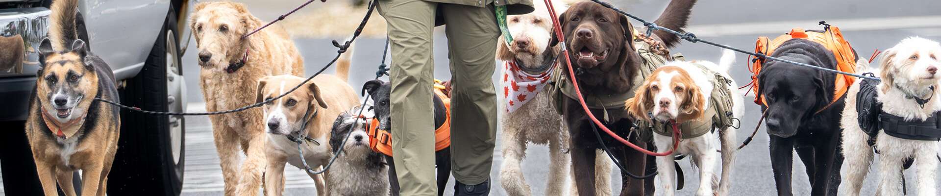 Click to show or hide the buttons