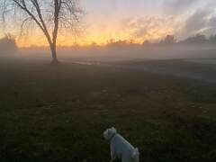 85: BerniceBailine_2025-49