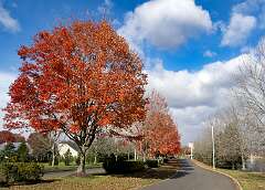 109: BillKirms_2025-331