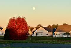 95: DonManfria_2025-292