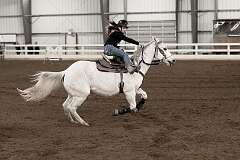 131: ErnieStandard_2025-18