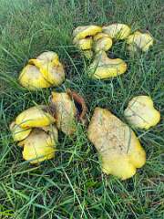 124: MarkShelly_2025-255