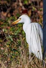 71: MarkShelly_2025-262