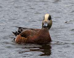 118: MarkShelly_2025-265