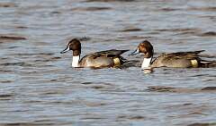 88: MarkShelly_2025-269