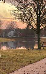 147: MonicaIppolito_2025-1