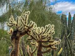 60: Xue-MingBao_2025-41