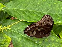 24: Xue-MingBao_2025-63