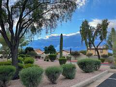 146: wendyTao_2025-58