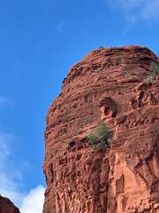 64: wendyTao_2025-59