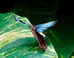 29: wendyTao_2025-64