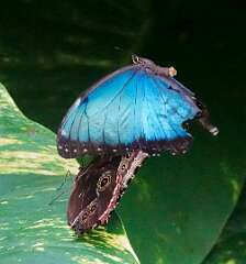 110: wendyTao_2025-66