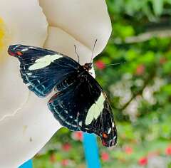 34: wendyTao_2025-68