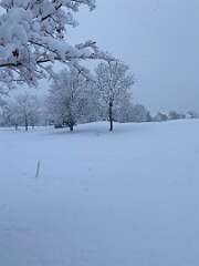 171: BerniceBailine_2025-52