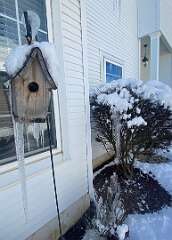 82: BerniceBailine_2025-66