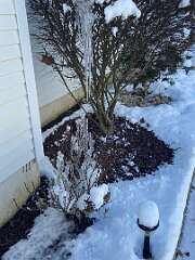 183: BerniceBailine_2025-69