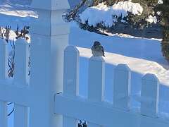 108: BerniceBailine_2025-71