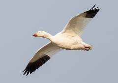 111: BillKirms_2025-346